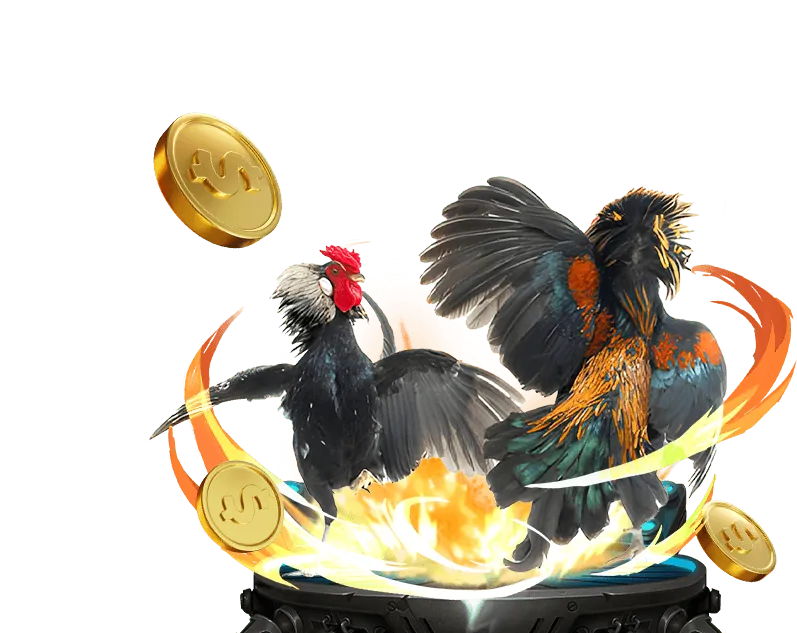 Đa dạng trò chơi cá cược tại Win55